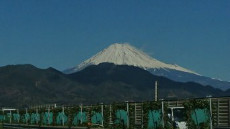 富士山