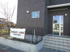 DOGGY　DOG様